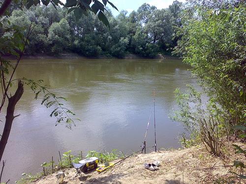 pozee - 264482446504d11756b1.jpg